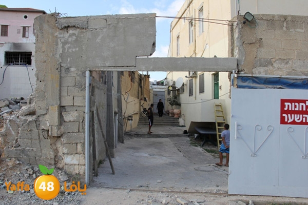 sakis family ard 826 (17).JPG